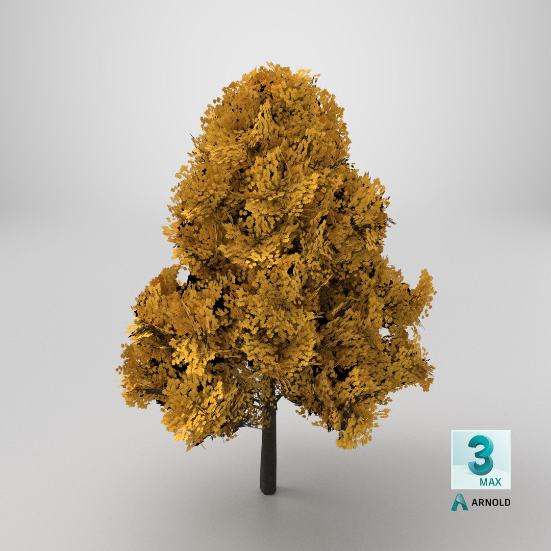 Lowpoly Decorative Maple Landscape Tree Yellow 3D model https://p.turbosquid.com/ts-thumb/9z/Ml7rpW/pY/stemcell_max_arnold_render/png/1766079579/1920x1080/fit_q87/fa5b245f9a6c1e7dafff37643808167ebb23fbb8/stemcell_max_arnold_render.jpg