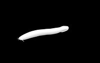 Broadgilled Hagfish Base Model