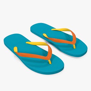 Flip Flops