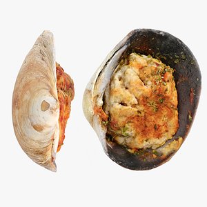 3D Clams Stuffed model
