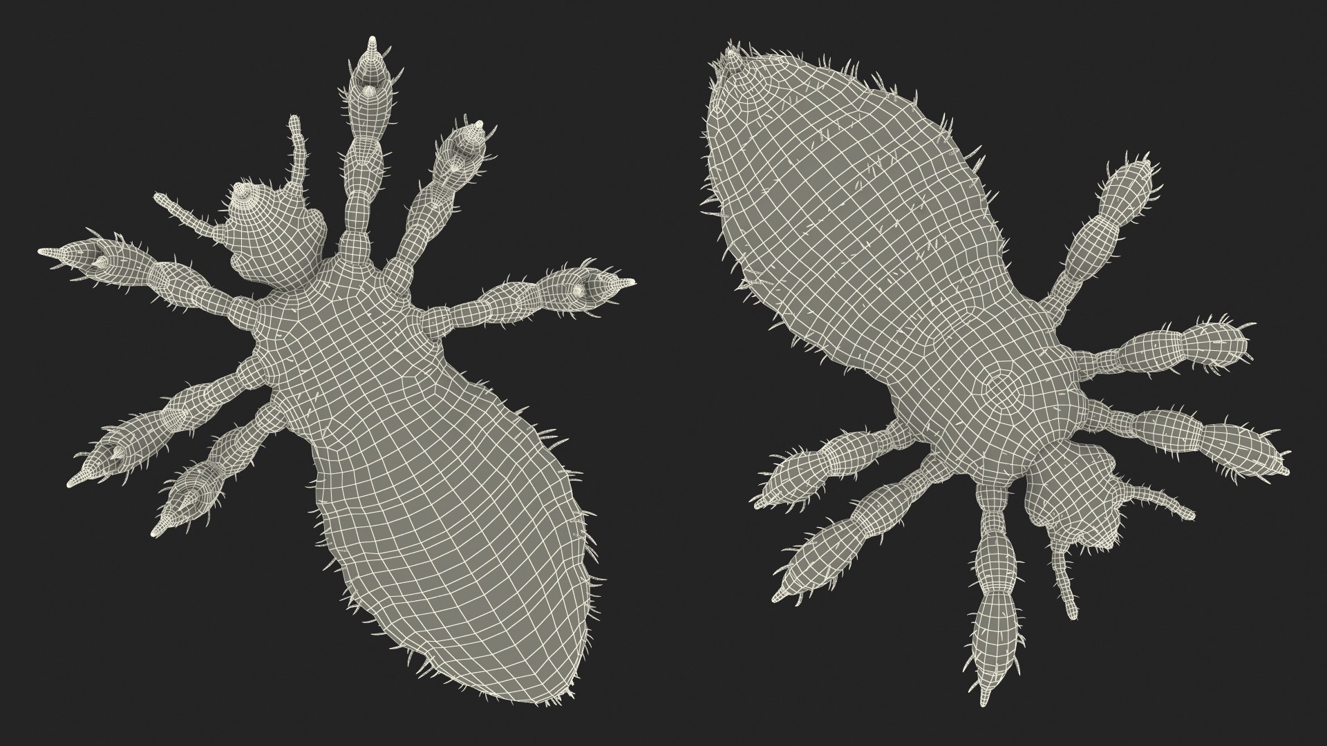 3D Louse White Hiding Pose model https://p.turbosquid.com/ts-thumb/9z/efWIrU/dO/louse_white_hiding_pose_027/jpg/1743538981/1920x1080/fit_q87/a4e74c6a988e329feac23de4c83cbfb35c8578f8/louse_white_hiding_pose_027.jpg