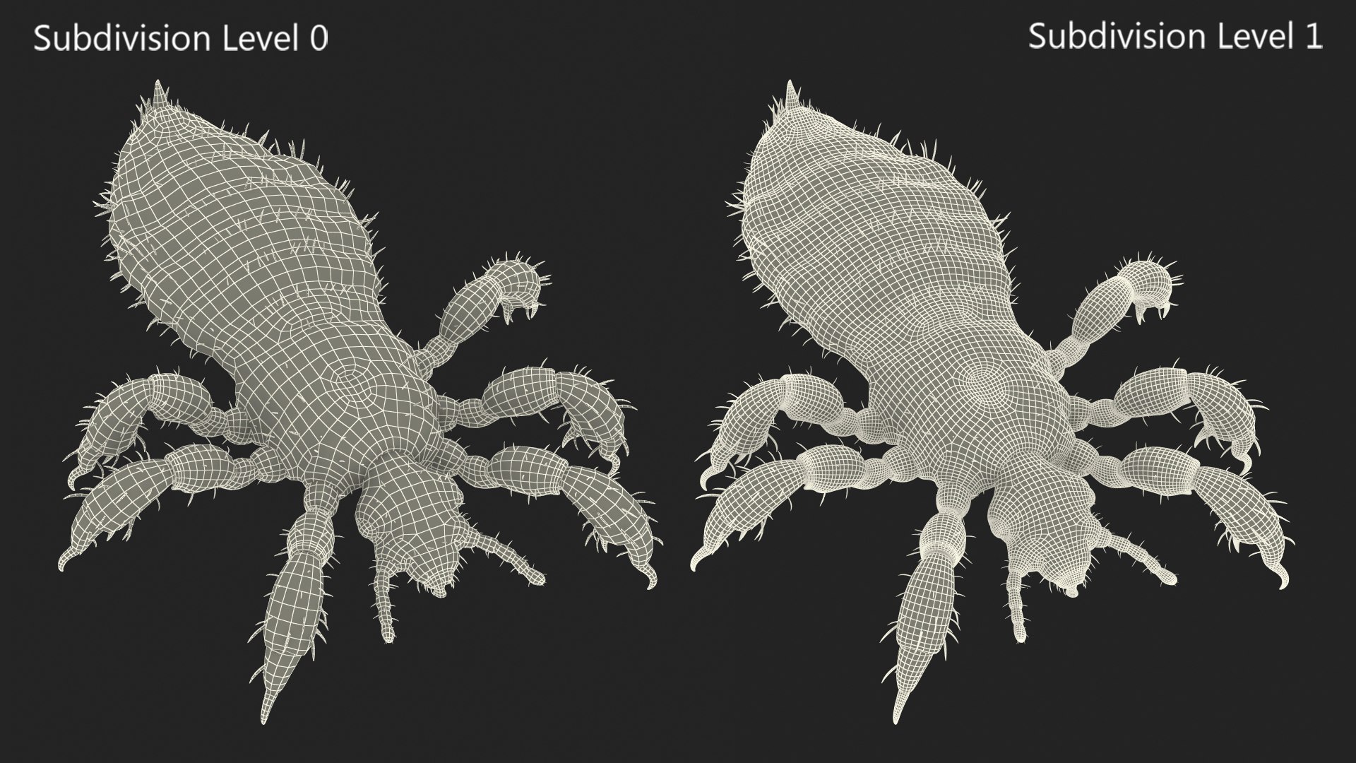 3D Louse White Hiding Pose model https://p.turbosquid.com/ts-thumb/9z/efWIrU/nn/louse_white_hiding_pose_021/jpg/1743538952/1920x1080/fit_q87/39ae30456d67ff933945746b229f22a983179b60/louse_white_hiding_pose_021.jpg
