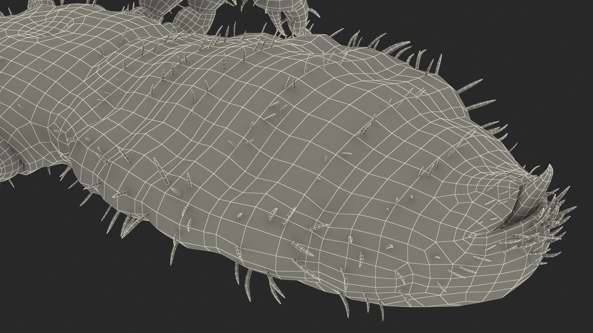 3D Louse White Hiding Pose model https://p.turbosquid.com/ts-thumb/9z/efWIrU/to/louse_white_hiding_pose_029/jpg/1743538993/1920x1080/fit_q87/a3bb6d0537c3925180ce1e66f3d0b4425faa282b/louse_white_hiding_pose_029.jpg