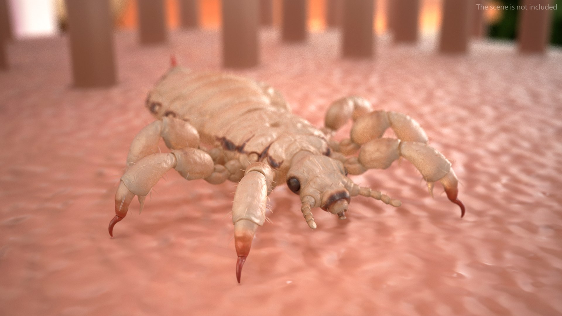 3D Louse White Hiding Pose model https://p.turbosquid.com/ts-thumb/9z/efWIrU/v4/louse_white_hiding_pose_002/jpg/1743538855/1920x1080/fit_q87/16bb5070829ce273ce2bb8023fd0781a5ce29e6c/louse_white_hiding_pose_002.jpg