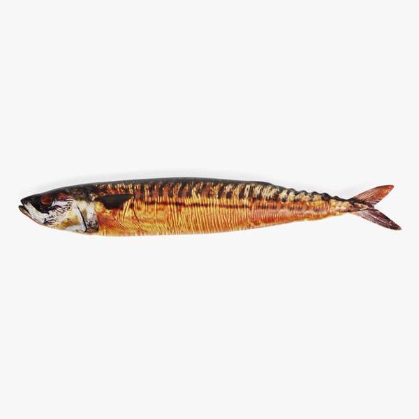 3D model smoked mackerel