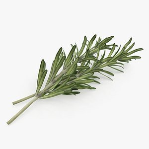 Fresh Rosemary