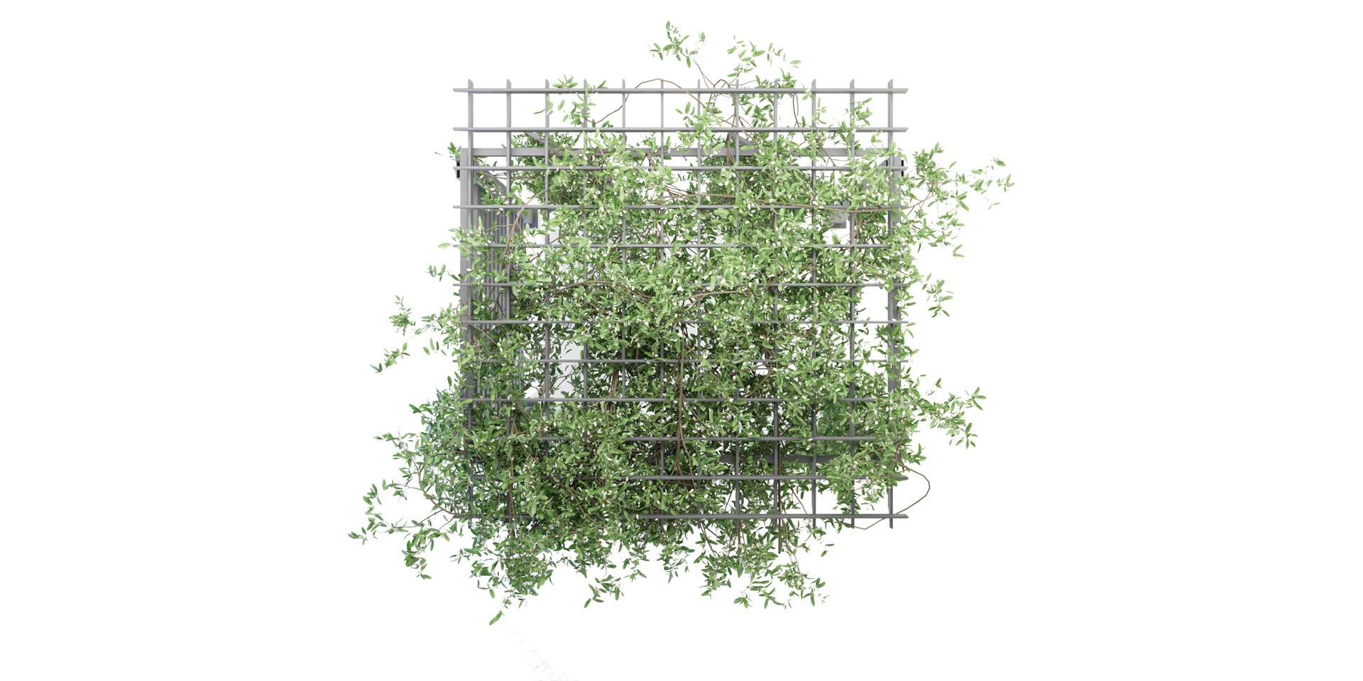 3D model Collection plant vol 143 - blender model https://p.turbosquid.com/ts-thumb/9z/jYgrhu/JJ/6/jpg/1687242890/1920x1080/fit_q87/b8092725affd37546785082d808d505afc70ec1a/6.jpg