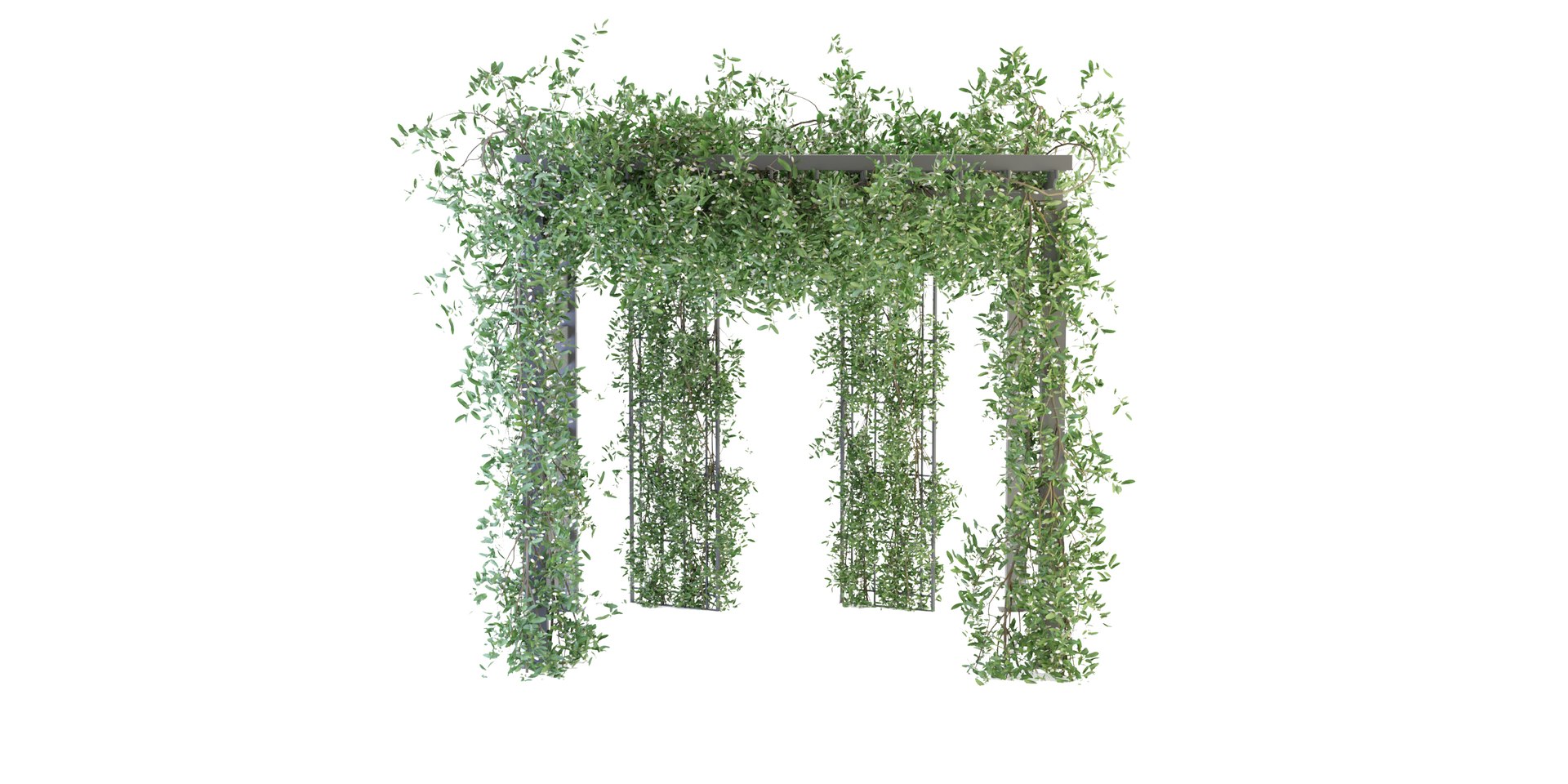 3D model Collection plant vol 143 - blender model https://p.turbosquid.com/ts-thumb/9z/jYgrhu/tY/2/jpg/1687242892/1920x1080/fit_q87/21bc211592121d49820f4acc5a4b77b6cf5530af/2.jpg