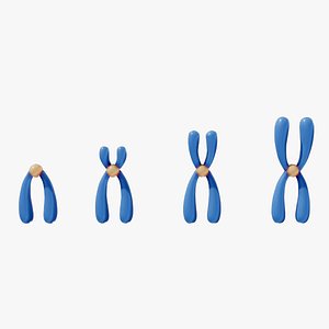 Types of Chromosomes