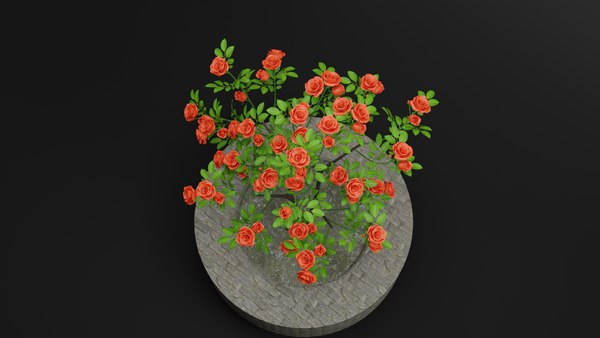 modelo 3d Planta de rosa - TurboSquid 2067767