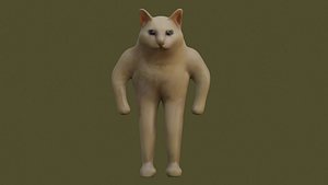 standing meme cat 3D model