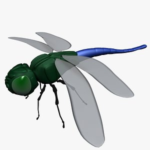 3d model dragonfly insect