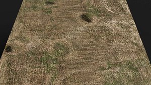 3D terrain ground grass bushes patch pt12 PBR photogrammetry model