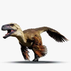 3D model Feathered Utahraptor Rig