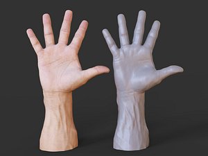 3D Male Hand Pose 20