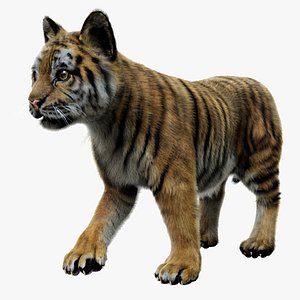 TigerBaby Fur 3D 3D model