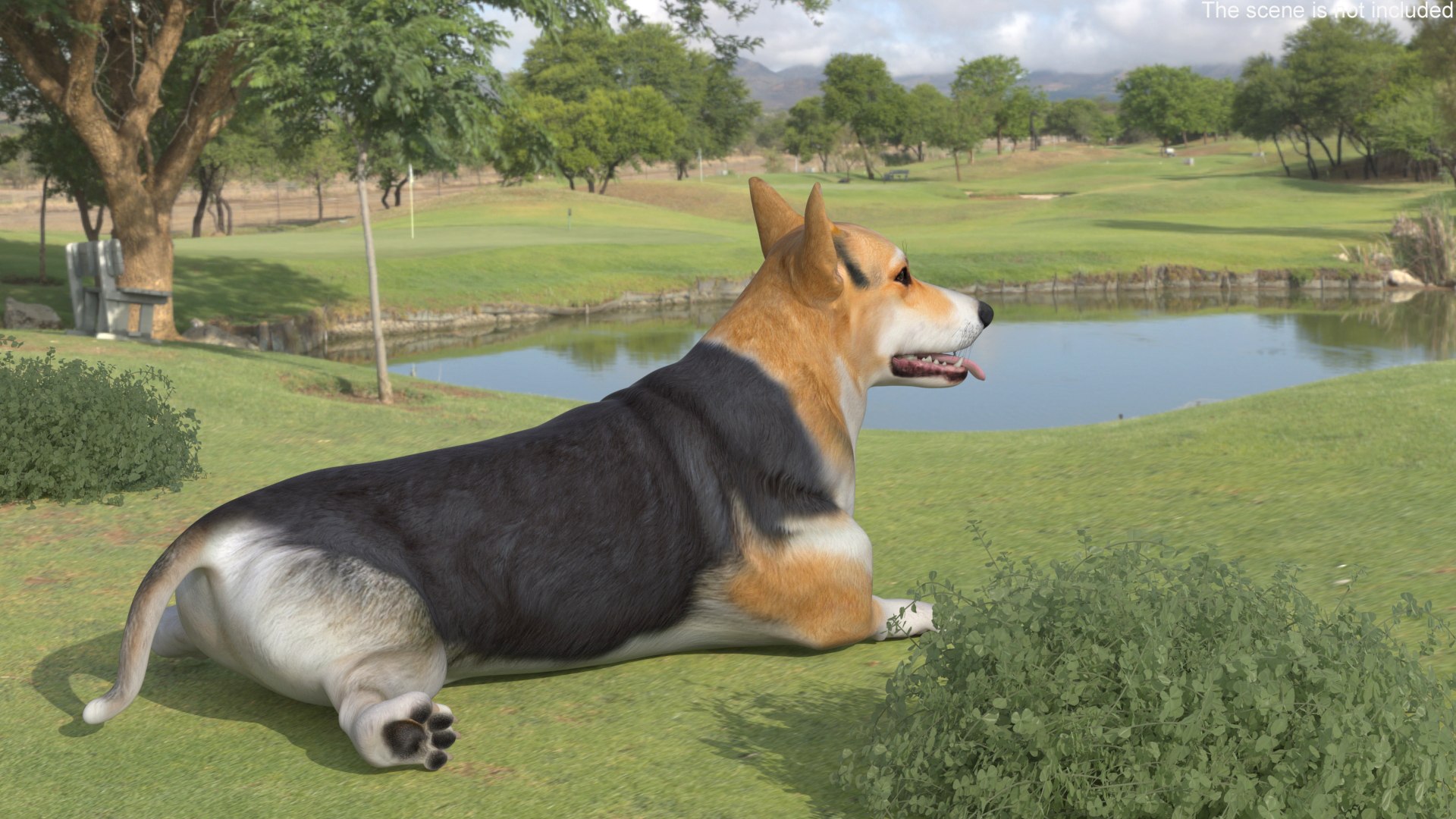 3D model Dog Welsh Corgi Pembroke Tricolor Resting Pose https://p.turbosquid.com/ts-thumb/A0/xizR6C/Pd/dog_welsh_corgi_pembroke_tricolor_resting_pose_003/jpg/1747895160/1920x1080/fit_q87/6f8541ee1eb46109eb95043467ea2880ff3a5700/dog_welsh_corgi_pembroke_tricolor_resting_pose_003.jpg