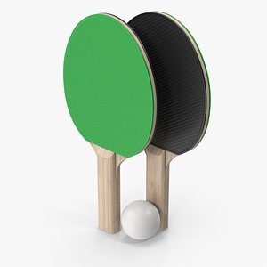 Ping Pong Paddles 3D model