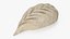 Dumpling En Forme De Feuille Crue