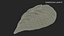 Dumpling En Forme De Feuille Crue