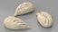 Dumpling En Forme De Feuille Crue