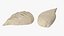 Dumpling En Forme De Feuille Crue