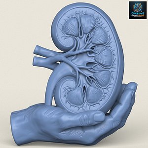 Decorative Kidney Sculpture Print Ready 3D Model 3D model