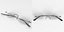 Gafas sin montura