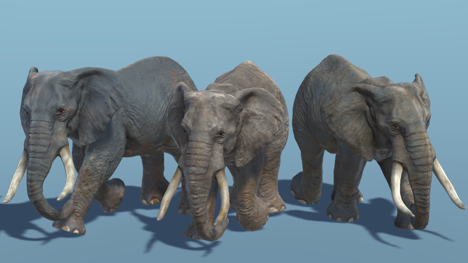 Elephant Animations 3D - TurboSquid 1355717