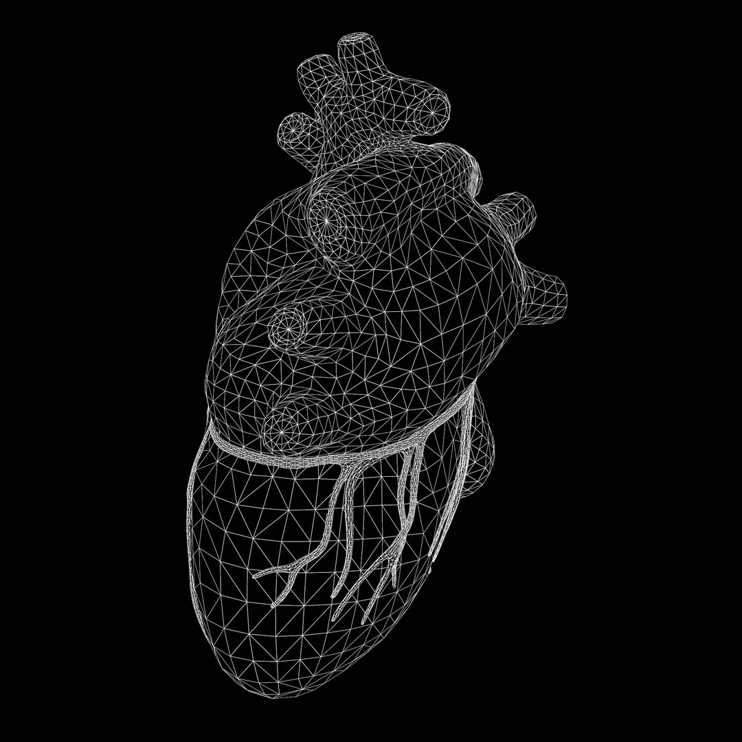 modeled human heart 3D model https://p.turbosquid.com/ts-thumb/A1/P1kjwS/JtjEfW2j/w1/png/1606314518/1920x1080/fit_q87/59006829a9be5b7cf403bf5e6a24d00889244ba4/w1.jpg