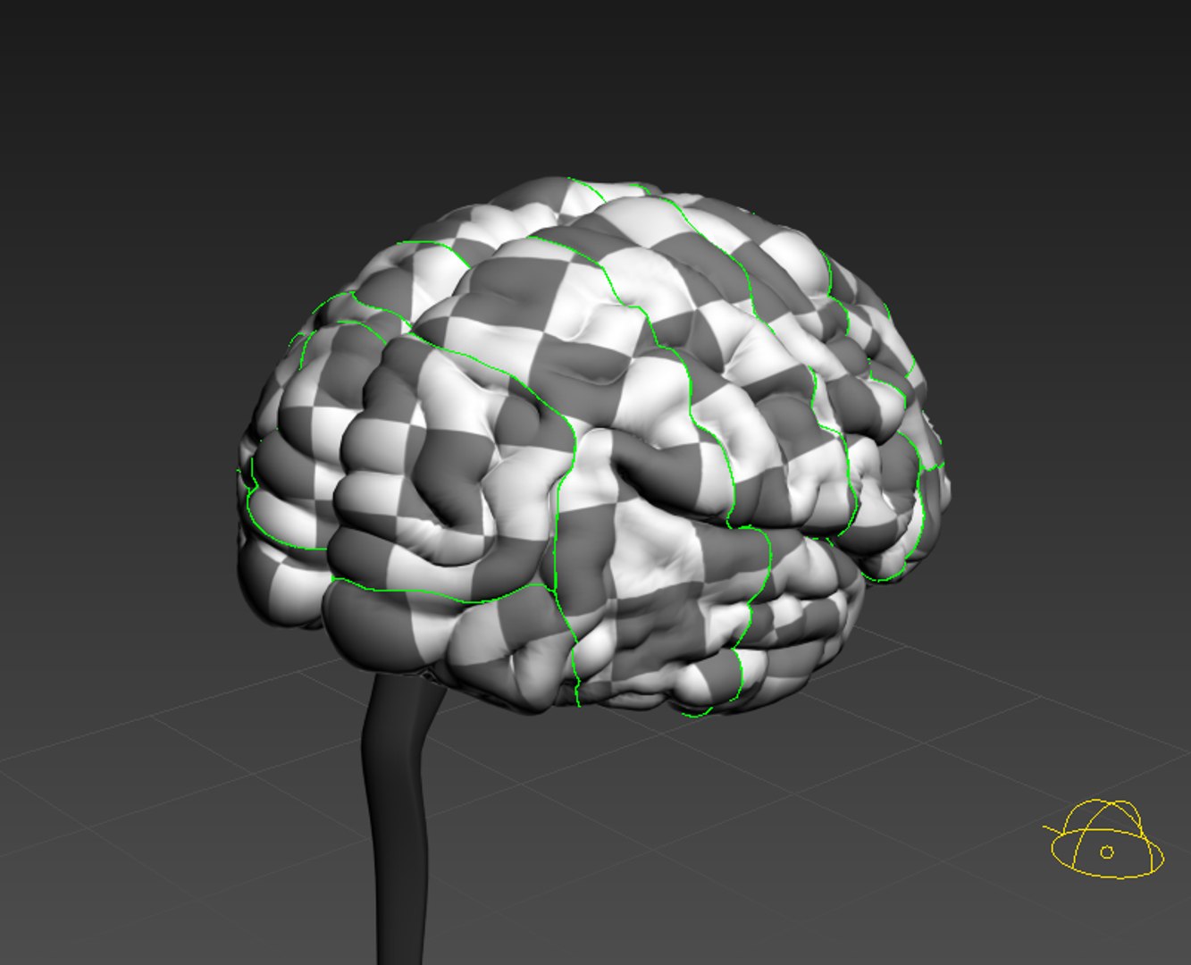 Human Cerebrum 3D Model - TurboSquid 1232170