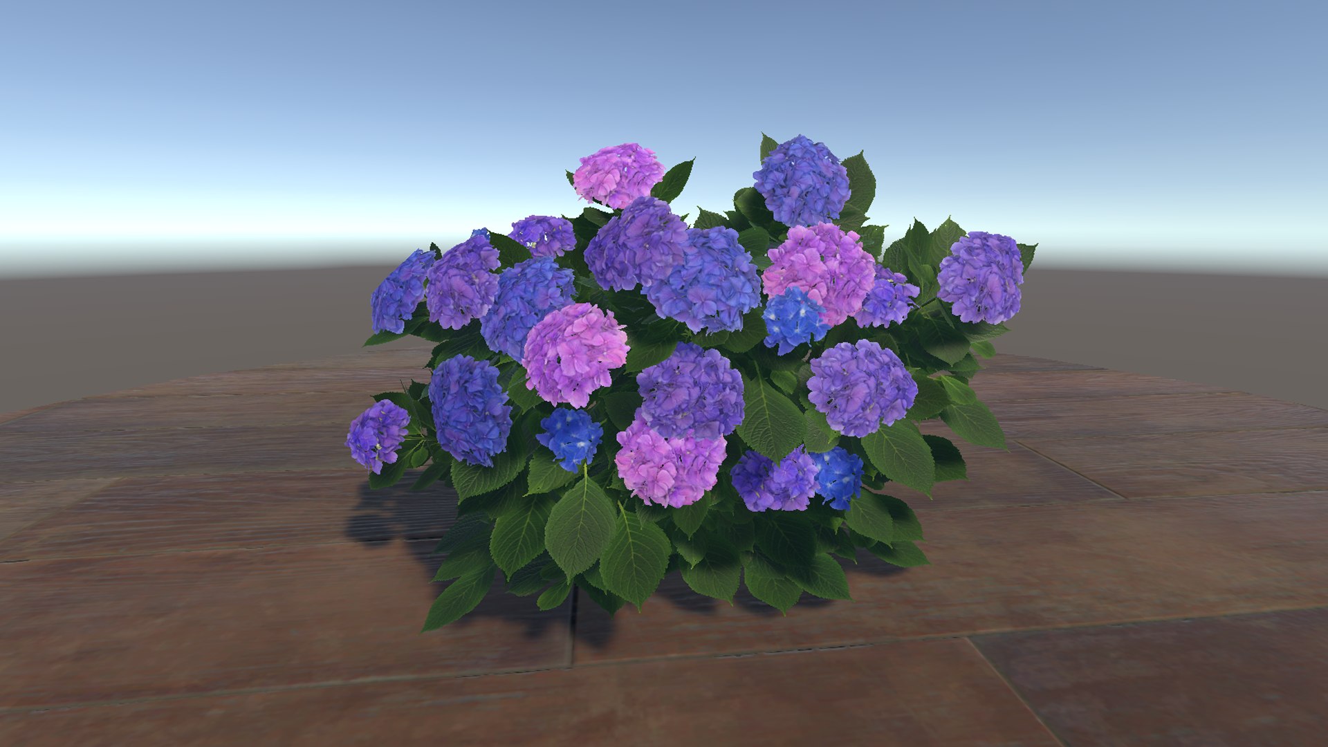 3D Hydrangea Bush Model - TurboSquid 2052355