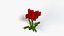 Minecraft Poppy Rig