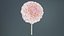 Garden Dahlia Red Remastered