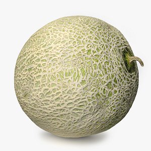 Melon - Cantaloupe 3D model