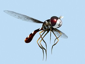 3d model of sphaerophoria rigged
