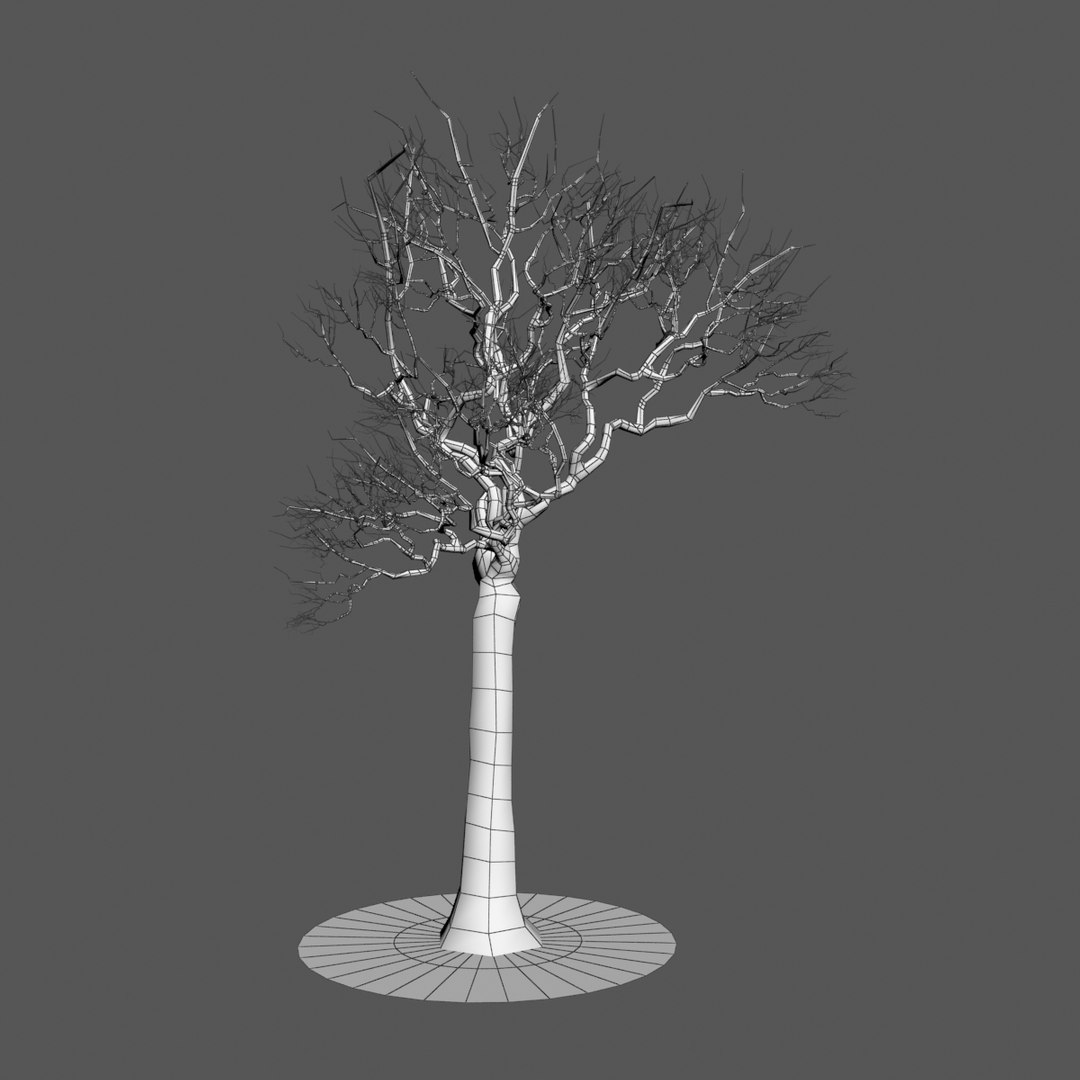 generic naked tree branches x https://p.turbosquid.com/ts-thumb/A1/gsXIat/7i7YHVap/9/jpg/1343827115/1920x1080/fit_q87/814b8d44ad3a6c42d379e78d0d926afa0d290b31/9.jpg