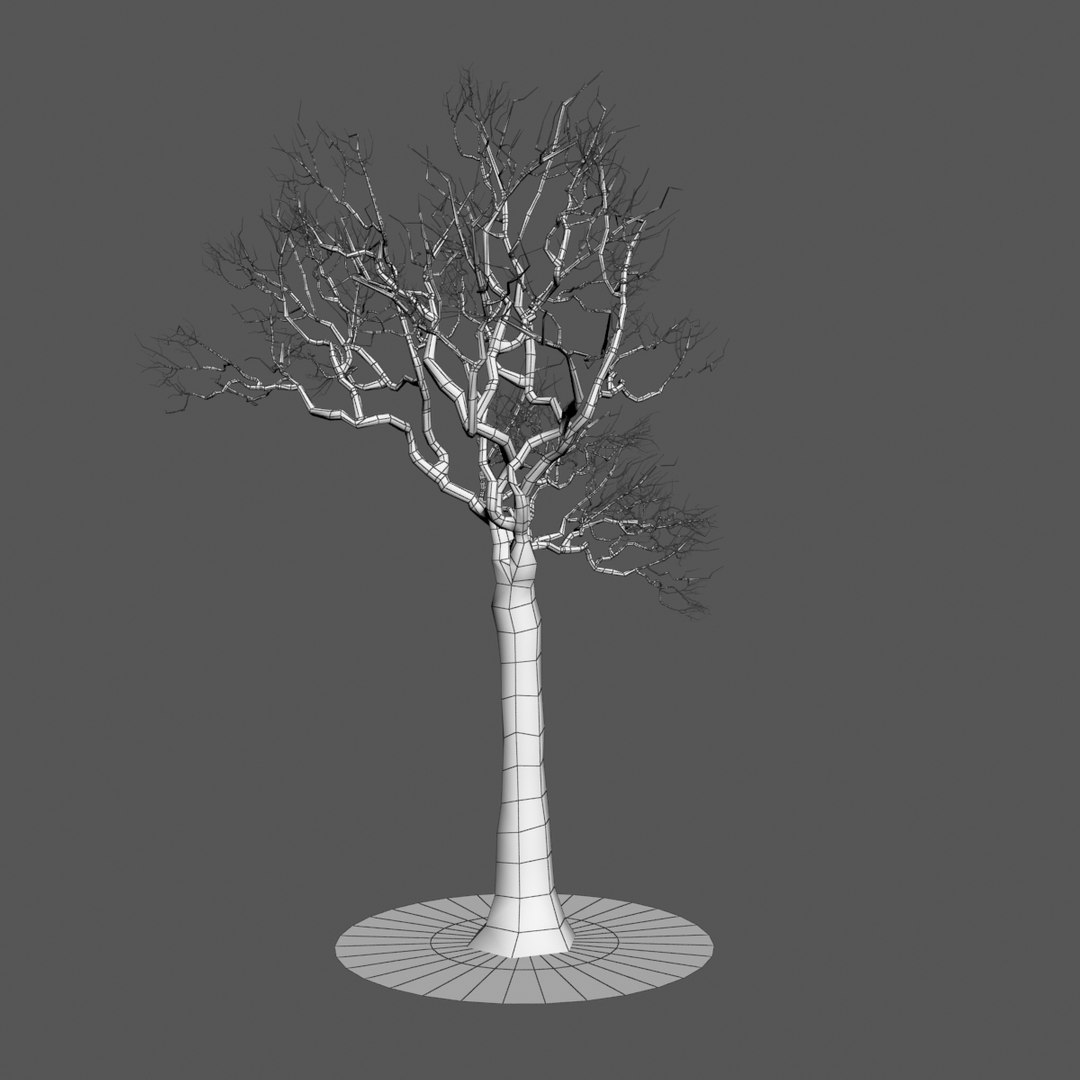 generic naked tree branches x https://p.turbosquid.com/ts-thumb/A1/gsXIat/zfqLzL3f/7/jpg/1343827115/1920x1080/fit_q87/54fadb006541f8df71e54ff24c8459c1bd19a86d/7.jpg