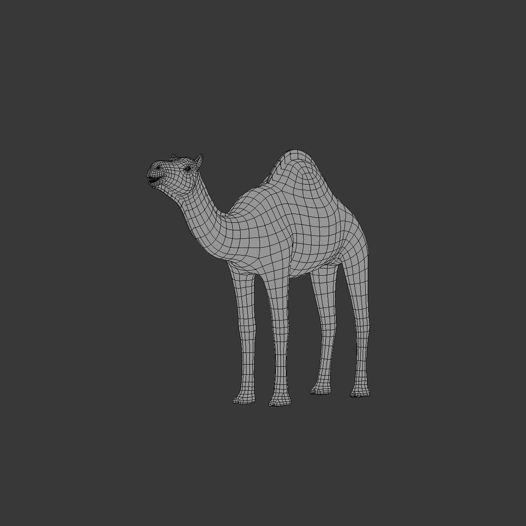 max camel https://p.turbosquid.com/ts-thumb/A1/ljoJHi/ghB5GKpC/camel09/jpg/1459051590/1920x1080/fit_q87/afb4cf3969a534f133764ff071b68d8b3ddde1e9/camel09.jpg