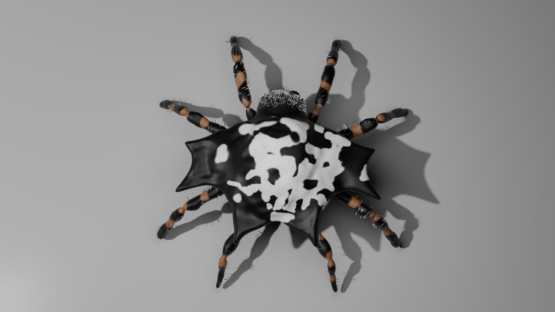 Spider 3D Model - TurboSquid 2395680