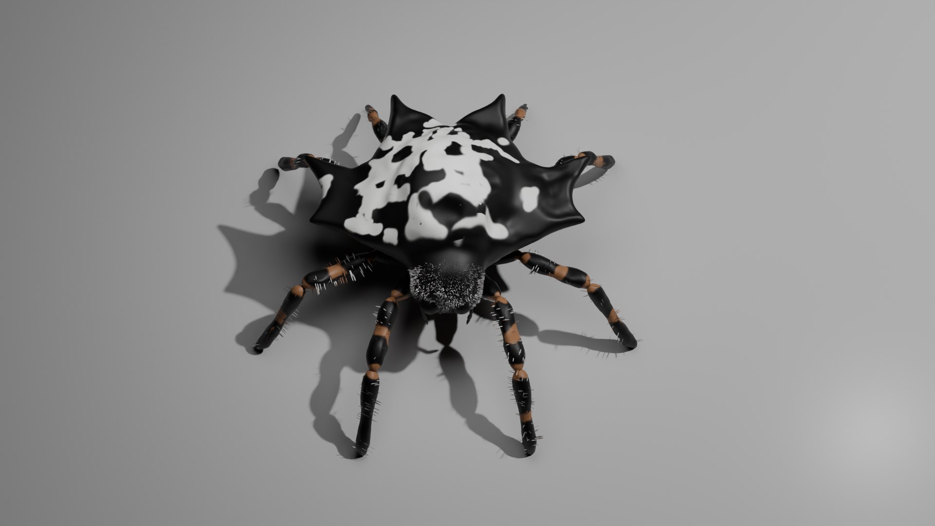Spider 3D Model - TurboSquid 2395680