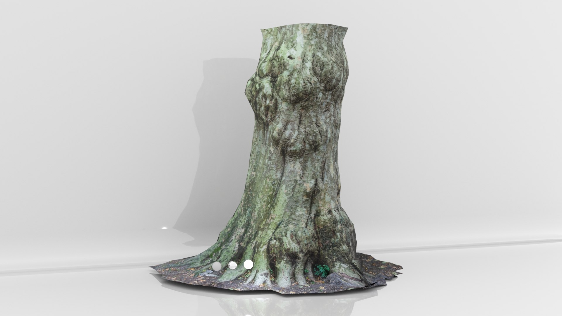 3D Oak Tree Trunk With A Lot Of Roots Model - TurboSquid 1765347