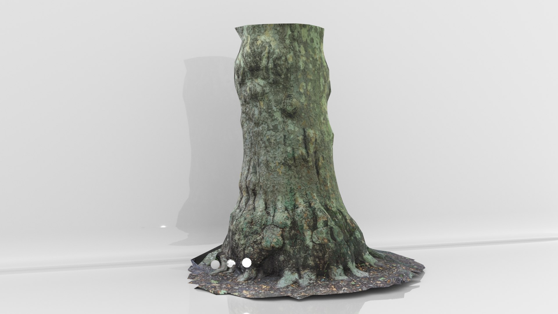 3D Oak Tree Trunk With A Lot Of Roots Model - TurboSquid 1765347