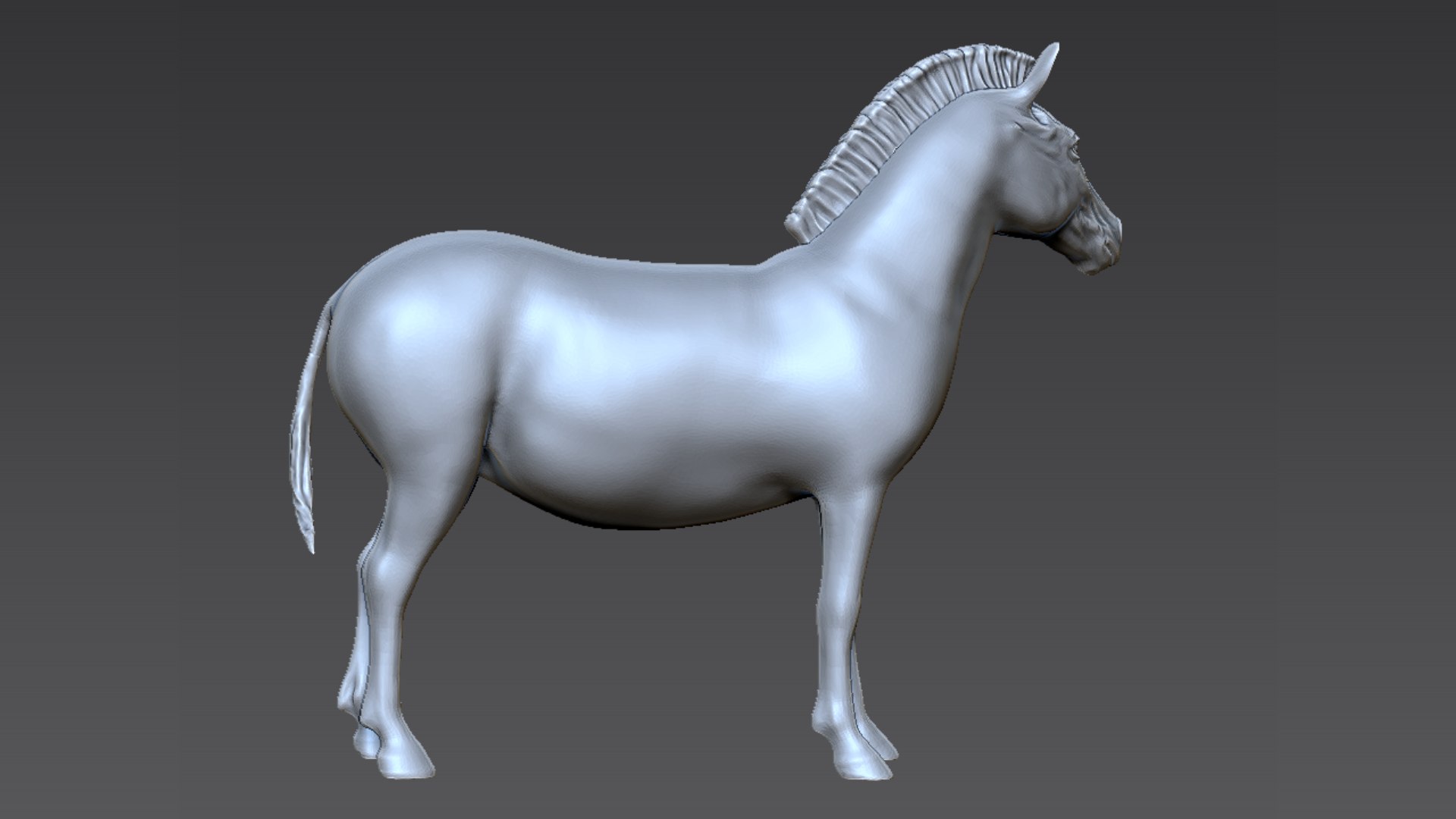 3D Model Zebra - TurboSquid 2213388