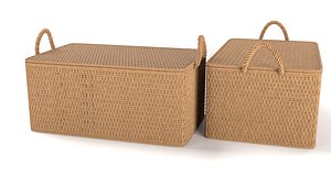 Wicker Box