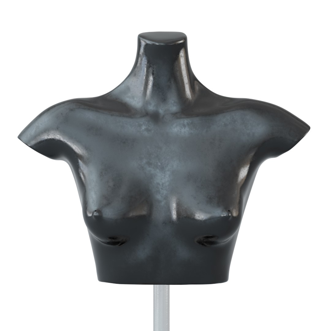 3D torso black female mannequin https://p.turbosquid.com/ts-thumb/A2/OAigvw/FaoWHbyc/view_01_view04/jpg/1583438801/1920x1080/fit_q87/c45631adc65f600652c3b3cd47a101b39e847770/view_01_view04.jpg