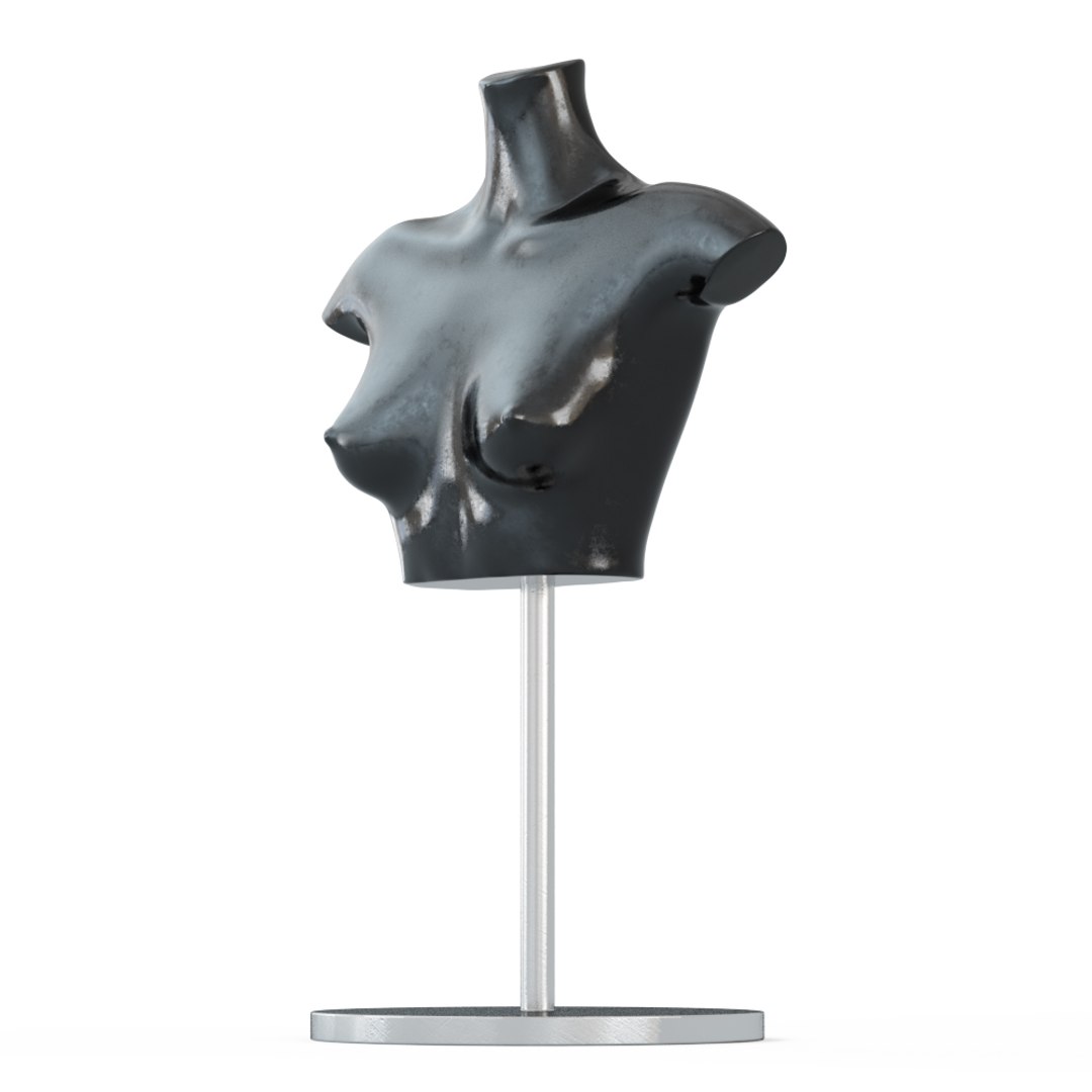 3D torso black female mannequin https://p.turbosquid.com/ts-thumb/A2/OAigvw/JftkkR98/view_01_view02/jpg/1583438777/1920x1080/fit_q87/70c60177cf1f321b14b748466cf156a11dc24d6c/view_01_view02.jpg