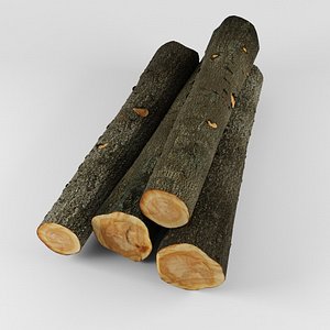 Wood Log