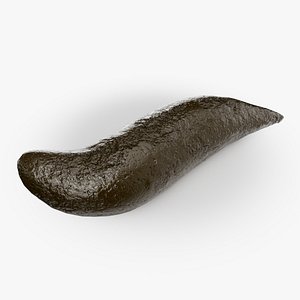 3D little slimy drop of Poop