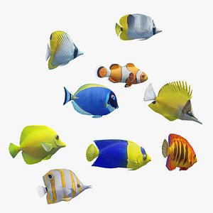 Schooling 9 Coral Reef Fish